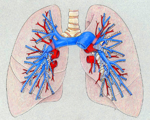 pulmonary tests
